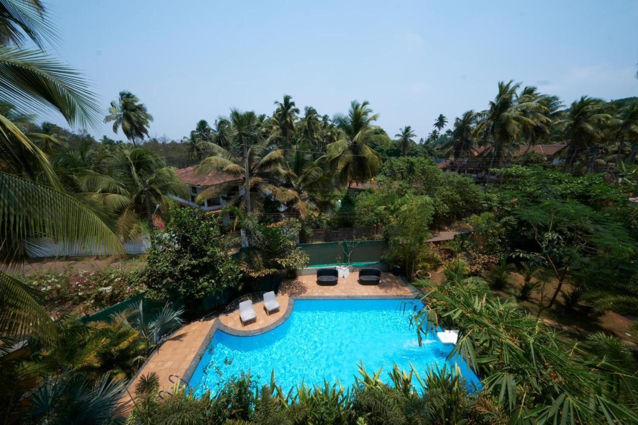 Fig House Anjuna-Chapora Road , Siolim 1Bhk Suite Oxel Экстерьер фото